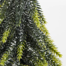 TREE OF THE MONTH fenyőfa talpon 19 cm