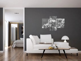 Kép - Szárított virágok (90x60 cm)