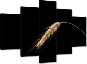 Vászonkép 150x105 Kalász rozs gabona arany