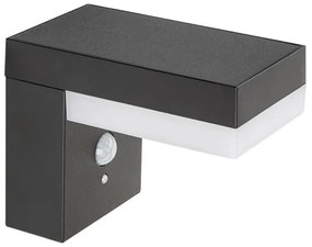 Rabalux 77009 - LED Napelemes lámpa érzékelővel ZREBAR LED/6W/3,7V IP44