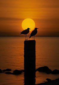 Poszter 68x98cm Beszélgetések alkonyatkor