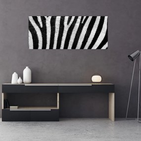 Kép egy zebra bőrről (120x50 cm)