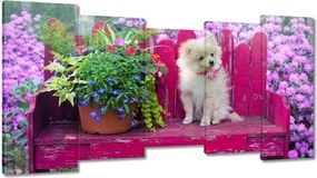 Képek 150x80 Kutya Kutyák