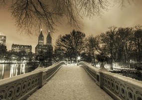 Poszter 42x29,7cm Central Park Bow Bridge Manhattan panorámával, Assaf Frank