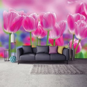 Fotótapéta - Tulipán (152,5x104 cm)
