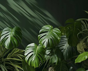 Poszter 50x40cm Suttogó levelek