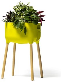 Műanyag önöntözős termesztő virágláda Urbalive – Plastia