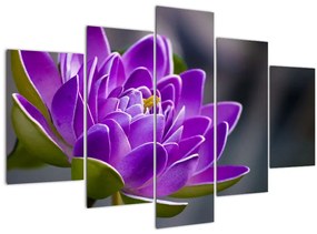 A virág képe (150x105 cm)