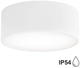 Brilagi - Fürdőszobai mennyezeti lámpa CLARE 1xE27/24W/230V átm. 20 cm IP54 fehér