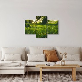 Tájkép - rét (90x60 cm)