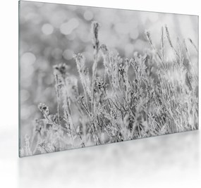 Üveg kép - Hideg tél (70x50 cm)