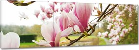 Vászonkép 150x50 Magnólia Budapest Virág