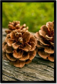 Poszterek keretben 40x60 Tobozok a kertben