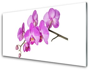 Fali üvegkép Orchidea Orchidea Virág 120x60cm 2 fogas