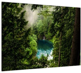 Kép - kilátás a fák között (üvegen) (70x50 cm)