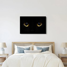 Kép - Macskaszemek (90x60 cm)