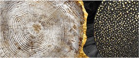 Kép - Fatörzs a kollázsban 2 (120x50 cm)