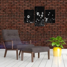 Kép - Gyapotfűvel borított rét N⁰1 (90x60 cm)