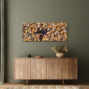 Egy tengeri csillag képe (120x50 cm)