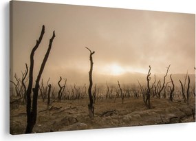 Kép - Csupasz fák (90x60 cm)