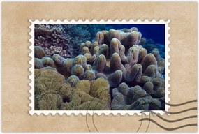 Poszterek 120x80 Sárga korallzátony