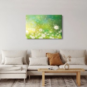 Kép - Virágozatlan pitypang (90x60 cm)