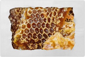 Poszter 60x40 Sárga méhsejt
