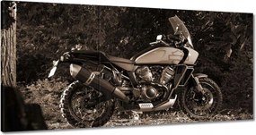 Képek 180x90 Harley Davidson Motorkerékpár