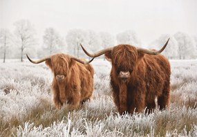 Flizelin fotótapéta Téli tehenek a hegyekben tájkép 400x280 +ragasztó