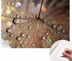 Öntapadós fotótapéta Nappaliba és Hálószobába Gyöngycseppek 208x146