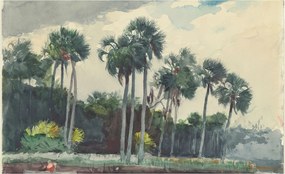 Flizelin fotótapéta Flizelin Design Egzotikus pálmafák 416x254