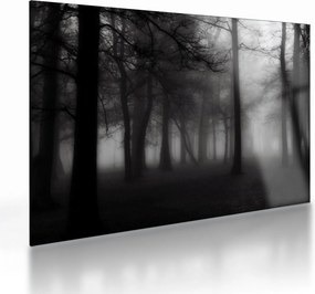 Kép - erdő a ködben (üvegen) (70x50 cm)