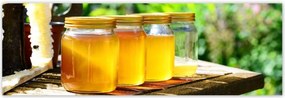 Poszterek 200x66 Természetes méz
