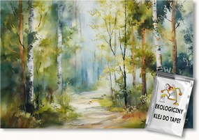 Fotótapéta Flizelina Tájkép Erdő Nyírfák Út 250x175 ragasztó