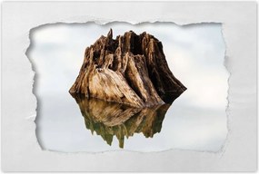 Poszterek 60x40 Sziget a tavon