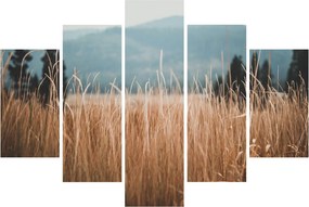 Kép - réti növényzet részlete (150x105 cm)