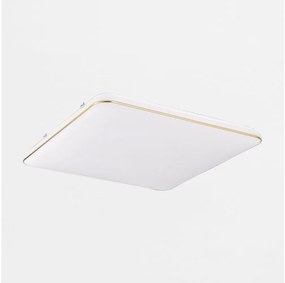 Zuma Line JE-DHS-0530-GD - LED Dimmelhető mennyezeti lámpa OMAR LED/48W/230V arany