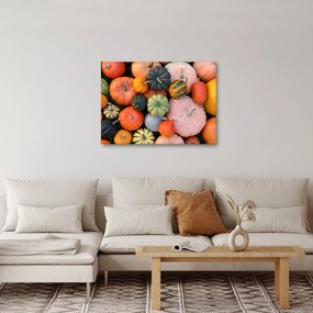 Kép - Tök (70x50 cm)