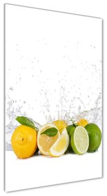 Üvegfotó Citrusfélék osv-81760914