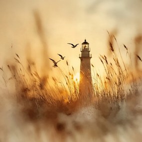 Canvas Vászonkép Világítótorony Naplemente Sirályok 40 x 40