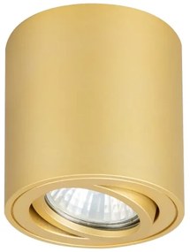 Brilagi - LED RGBW dimmelhető spotlámpa MIA 1xGU10/30W/230V 84x80 mm arany