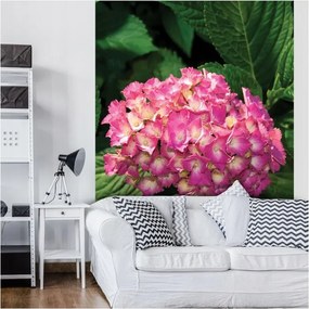 Fotótapéta Hortenzia Rózsaszín vinil természet a nappaliba 184x254 +ragasztó