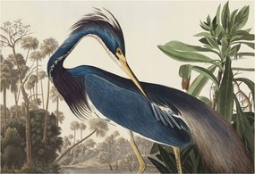 Dekoratív Fotótapéta Furnér Flizelin Egzotikus természet 152x104