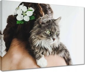 Vászonkép 40x30 Cica