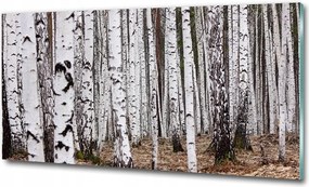 Fotó üvegkép Cseresznyevirágok háttér 100x70