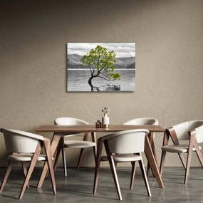 Fa képe a tó közepén (70x50 cm)