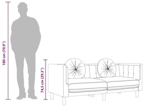 rózsaszín bársony kétszemélyes kanapé párnákkal