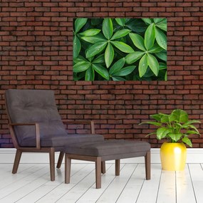 Kép - Levelek harmatcseppekkel (90x60 cm)