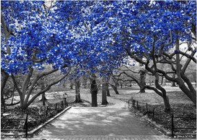 Kép - Kék fák, Central Park, New York (üvegen) (70x50 cm)