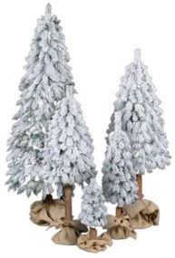 Karácsonyfa tönkön - Hegyi Lucfenyő 120cm Snowy